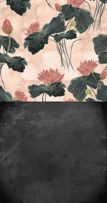 Water lilies in black