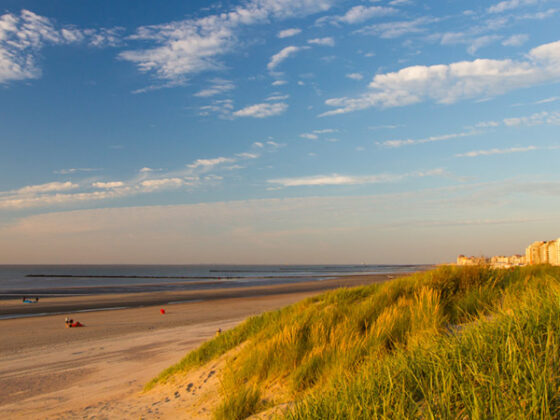 Strand Zebrugge, Belgien