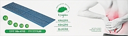 Аппликатор плоский "Квадро", 47 х 11.8 см, шаг иглы 5.8, голубой Ляпко