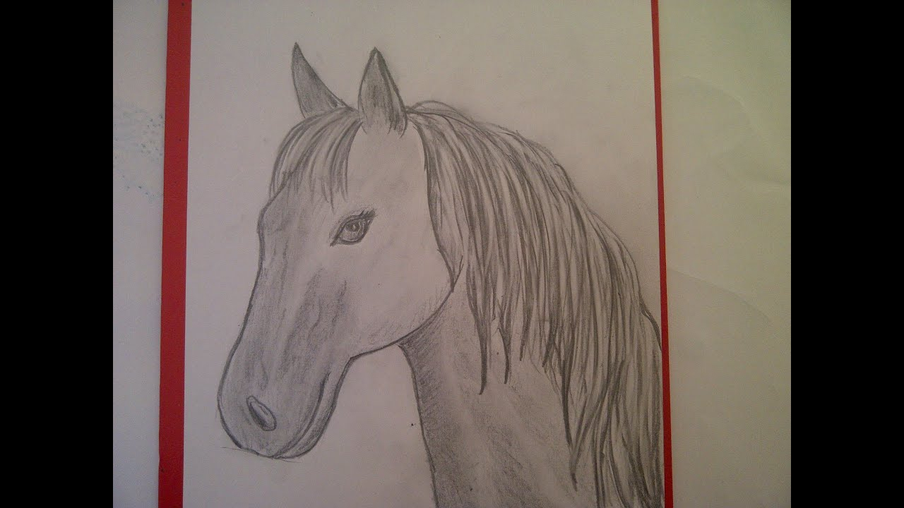 Zeichnen Lernen Für Anfänger. Pferd Malen. Pferdeportrait. Pferdekopf.  Learn To Draw A Horse innen Pferdekopf Malen