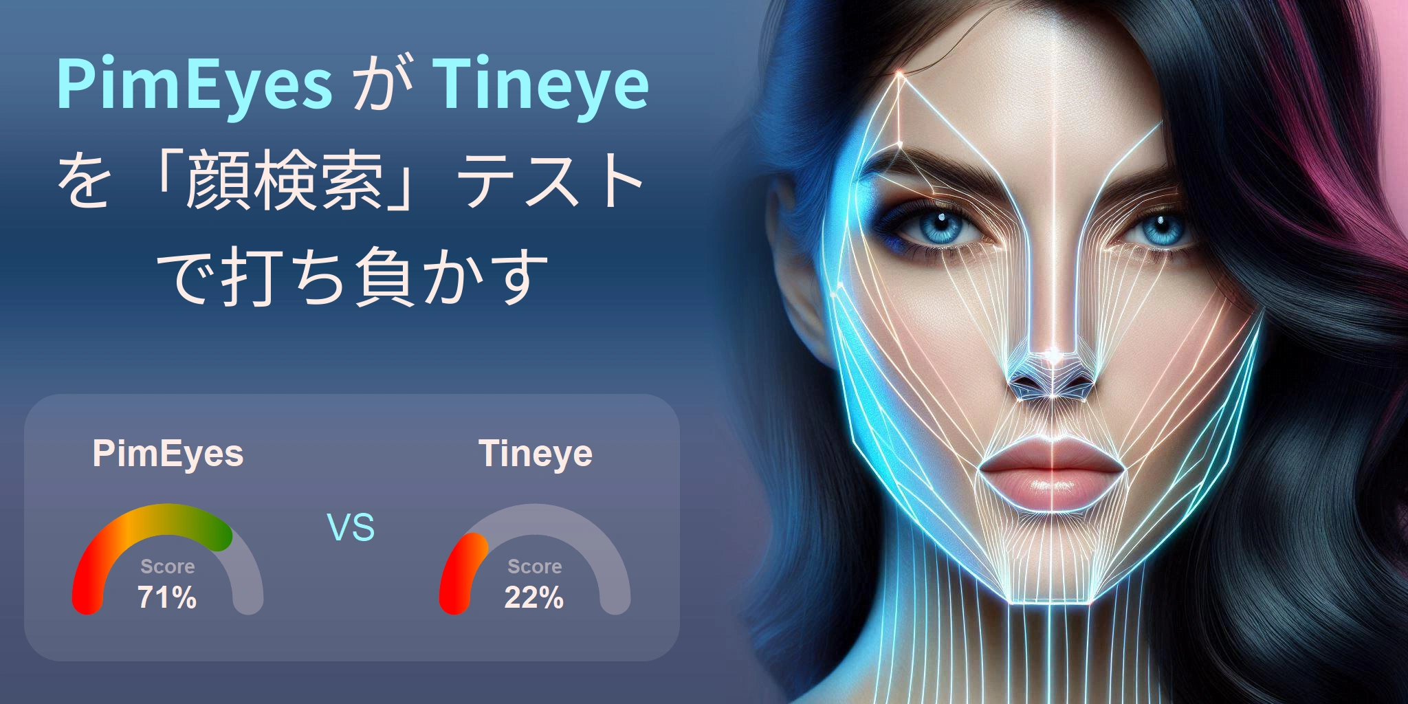 PimEyes.com vs Tineye.com