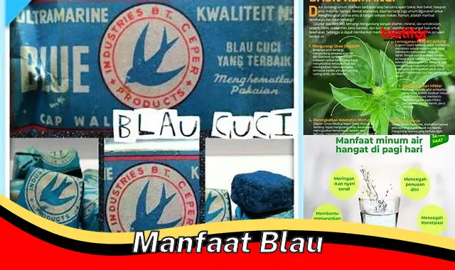 manfaat blau