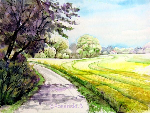 Raps, Landschaft, Wachau, Aquarell