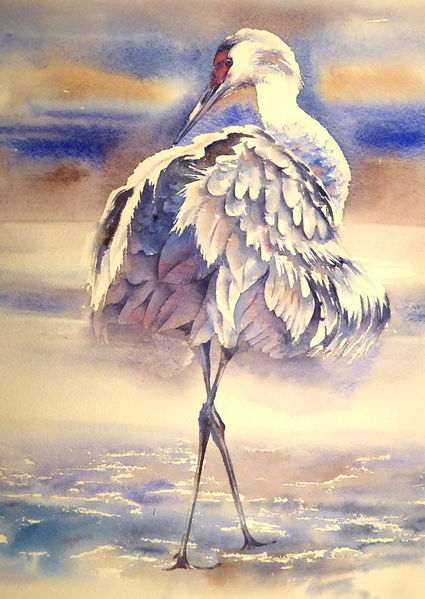 Bird, Aquarellmalerei, Kran, Aquarell