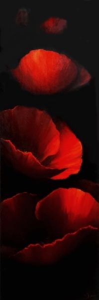 Realismus, Licht, Rot schwarz, Mohn