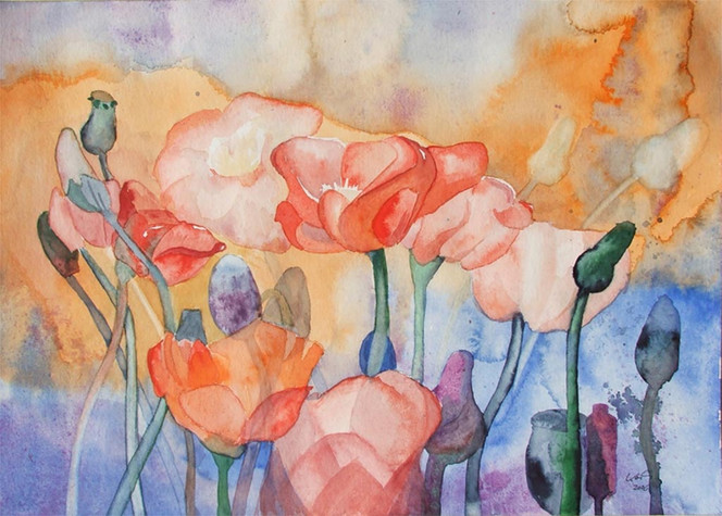 Mohn, Vorpommern, Aquarell, Mecklenburg