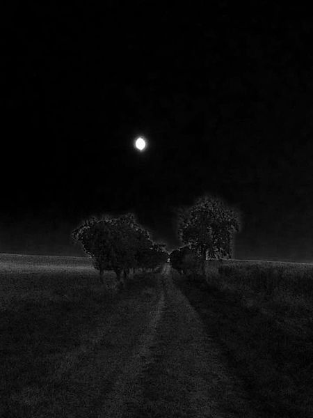 Mond, Mondlicht, Baum, Weg