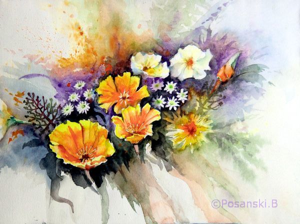 Mohn, Blumen, Kalifornischer, Aquarell