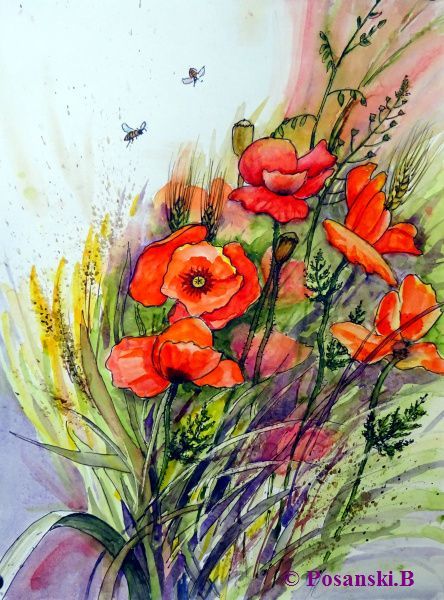 Mohn, Klatschmohn, Blumen, Mischtechnik