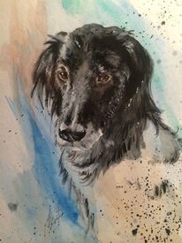 Tiere, Schwarz, Hund, Aquarell