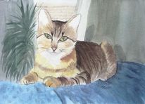 Katze aquarell tier, Aquarell, Katze