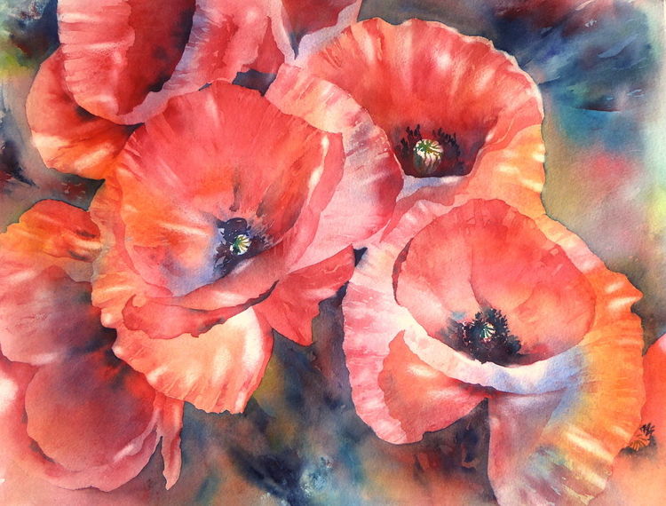 Blumen, Mohnblüten, Aquarellmalerei, Mohn