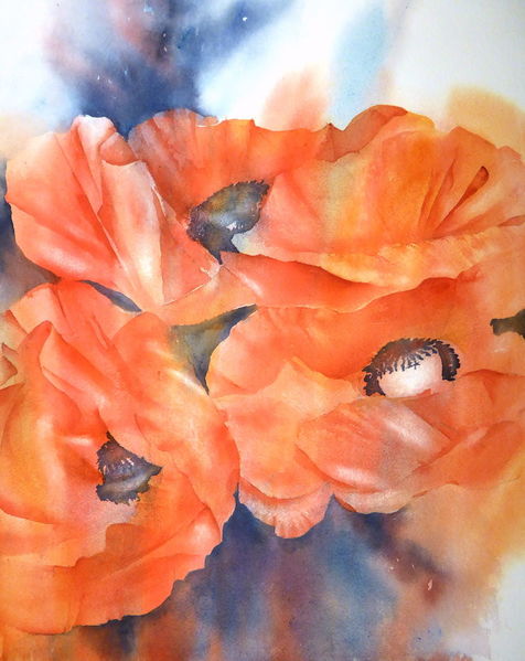 Mohnblüten, Aquarellmalerei, Amapolas, Mohnblumen