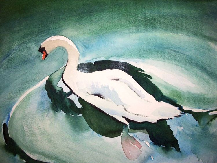 Schwan, Aquarell