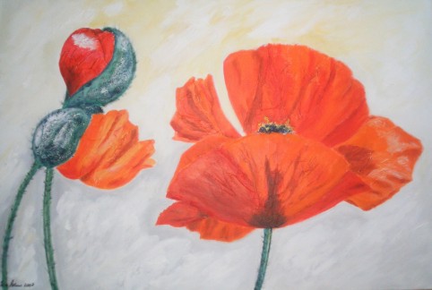 Mohn, Stillleben, Blumen, Malerei