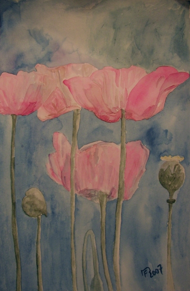 Mohn, Blumen, Pflanzen, Malerei