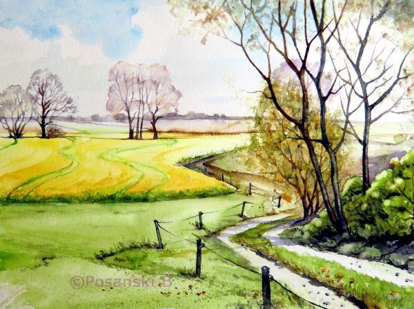 Frühling, Landschaft, Aquarell, Raps