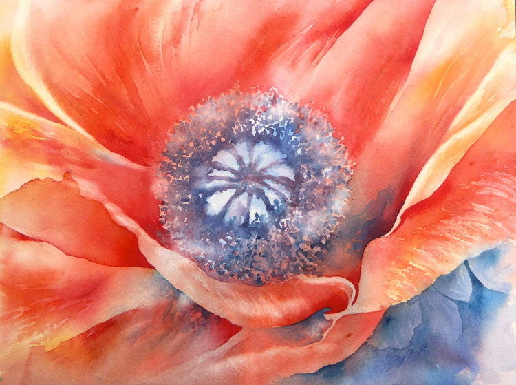 Aquarellmalerei, Blumen, Aquarell, Mohn