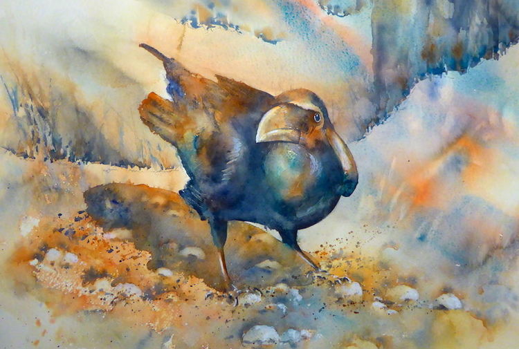 Rabe, Aquarellmalerei, Aquarell, Vogel