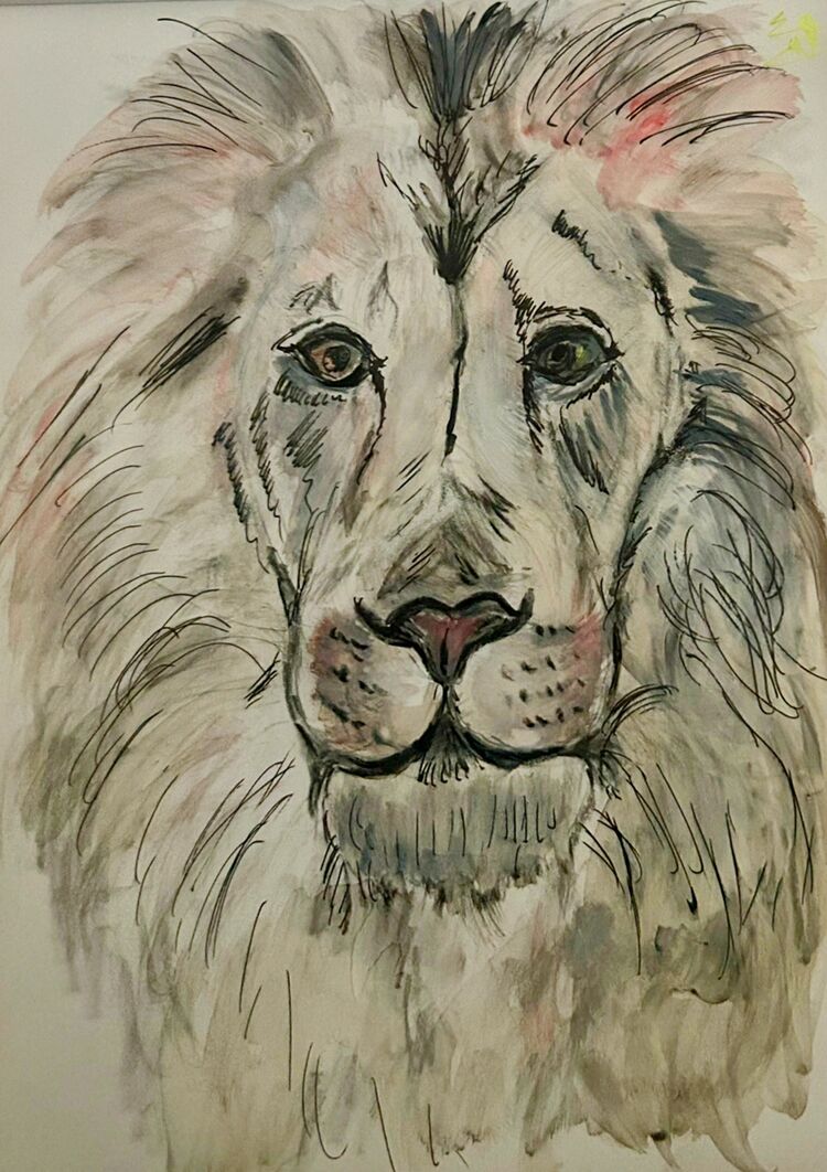 Din a4, Aquarell fineliner, Alter löwe, Malerei