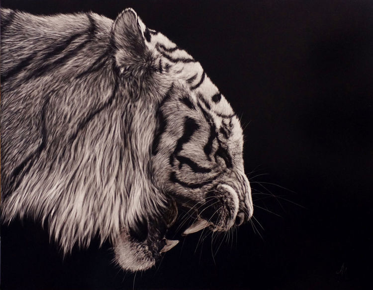 Gemälde, Scratchboard, Wildlife, Augen