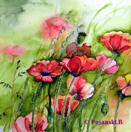 Blumen, Mohn, Aquarell, 