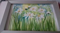 Margariten, Blumen, Natur, Aquarell