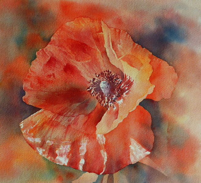 Red, Mohnblüten, Aquarellmalerei, Mohnblumen