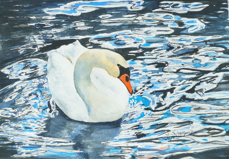 Schwan, Wasser, Spiegelung, Aquarell