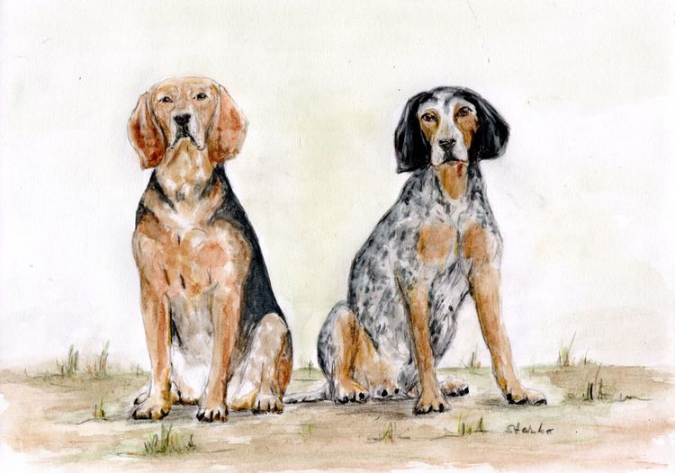 Aquarellmalerei, Hunde, Tiere, Zeichnung