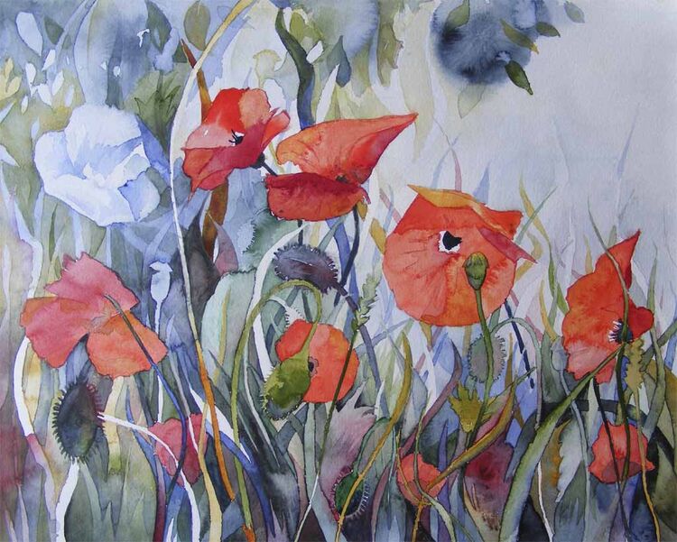 Mohn, Aquarellmalerei, Blume, Blüte