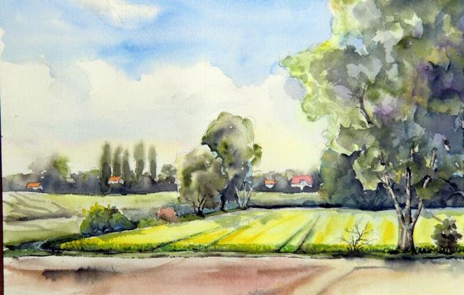 Raps, Landschaft, Aquarell, Kulturlandschaft