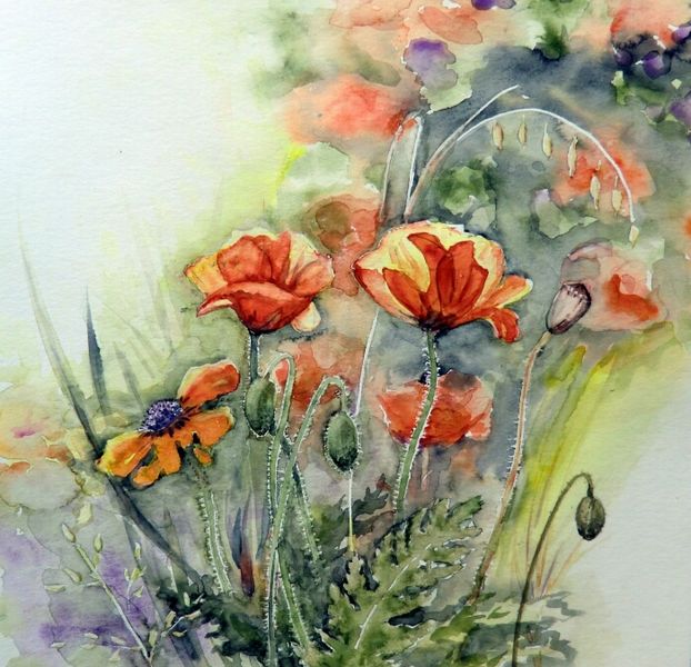 Blumen, Mohnblumen, Aquarell, Mohn