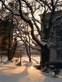 Saale, Wintermorgen, Universität, Fotografie