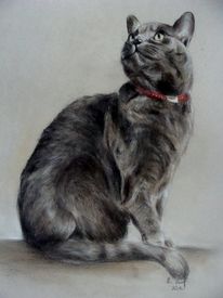 Katze, Katzenportrait, Malerei, Tiere