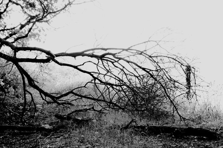 Weg, Licht schatten, Lichtschatten, Landschaft