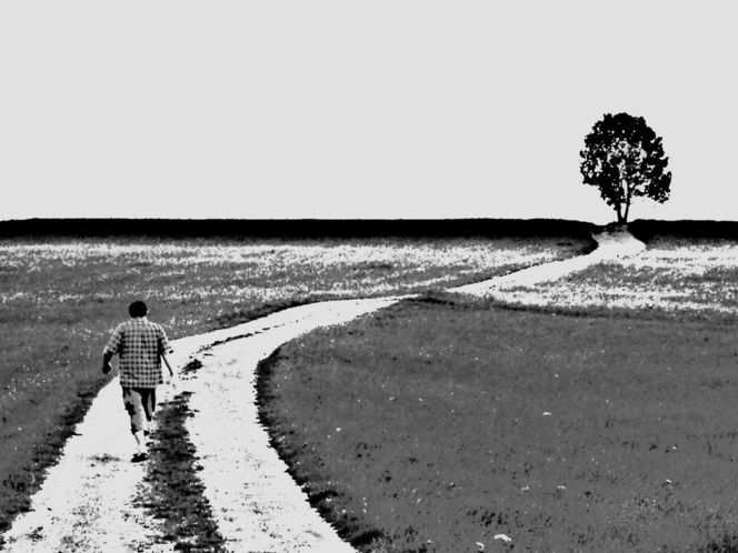 Weg, Straße, Landschaft, Baum