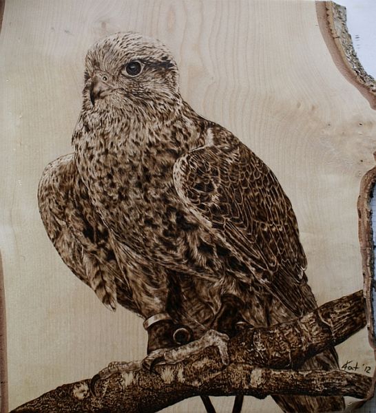 Pyrografie, Holz, Tier, Tierportrait