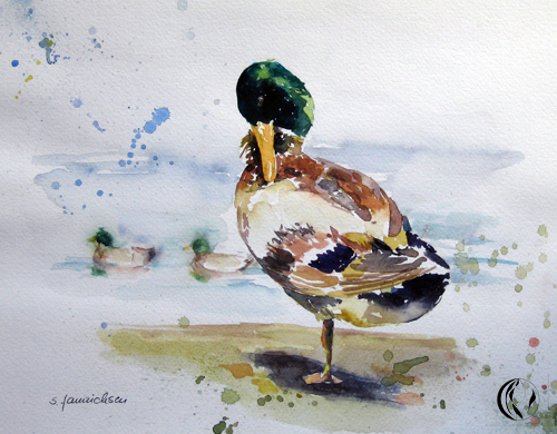 Tier, Ente, Aquarell, Enten