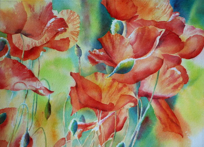 Blumen, Rot, Mohnblumen, Aquarell