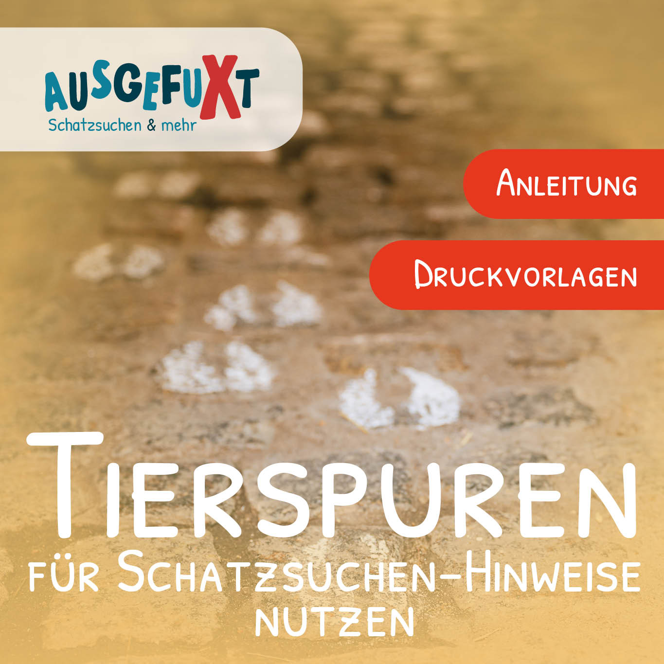 Tierspuren-Vorlagen als Schatzsuchen-Hinweise nutzen