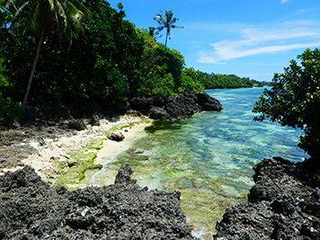 Strand - ohne Müll plastikfrei - Leben ohne Plastik geht das?