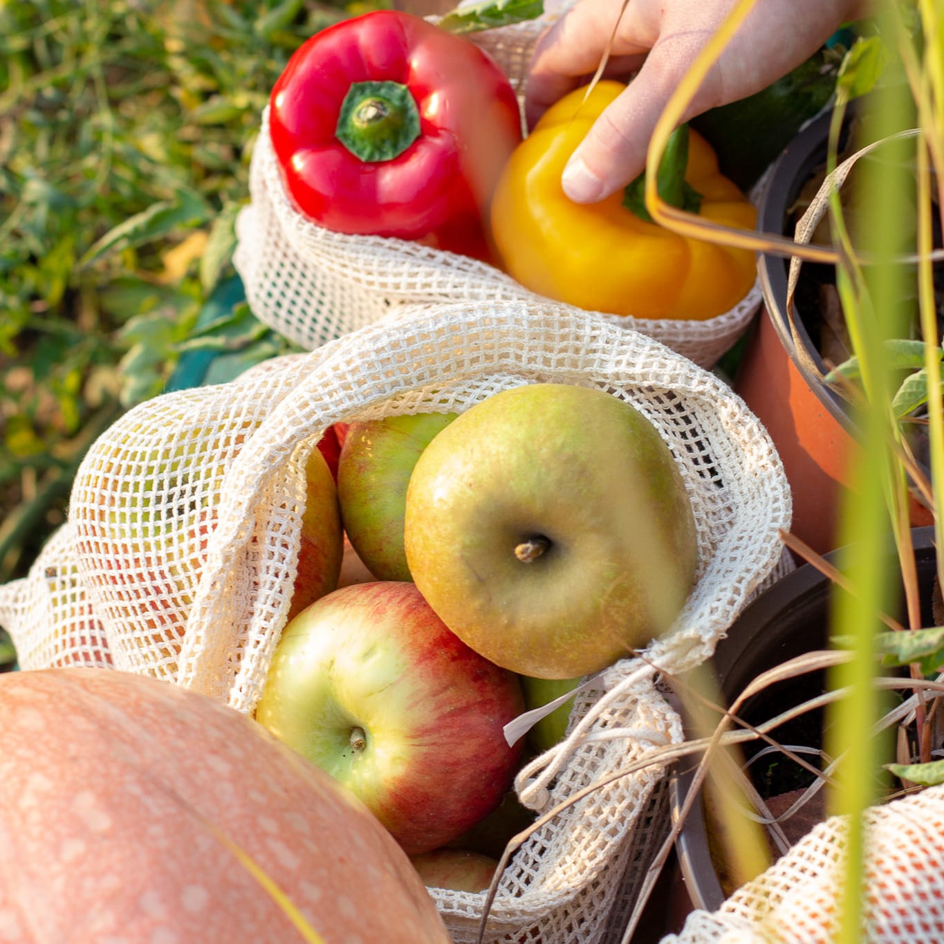 Gemüsenetz EcoYou Baumwollbeutel Plastikfrei Einkaufen ohne Plastik Leben ohne Plastik