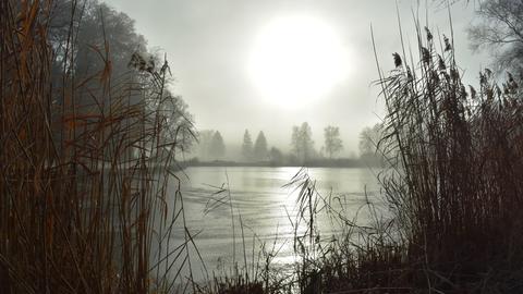 Die Sonne scheint durch Nebel 