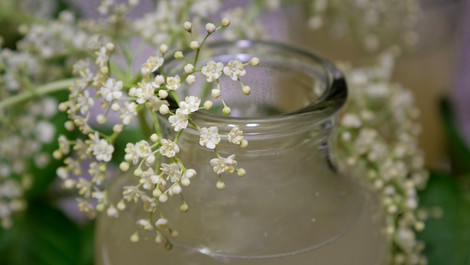 Holunderblüten-Marmelade: Ein fruchtiges Rezept