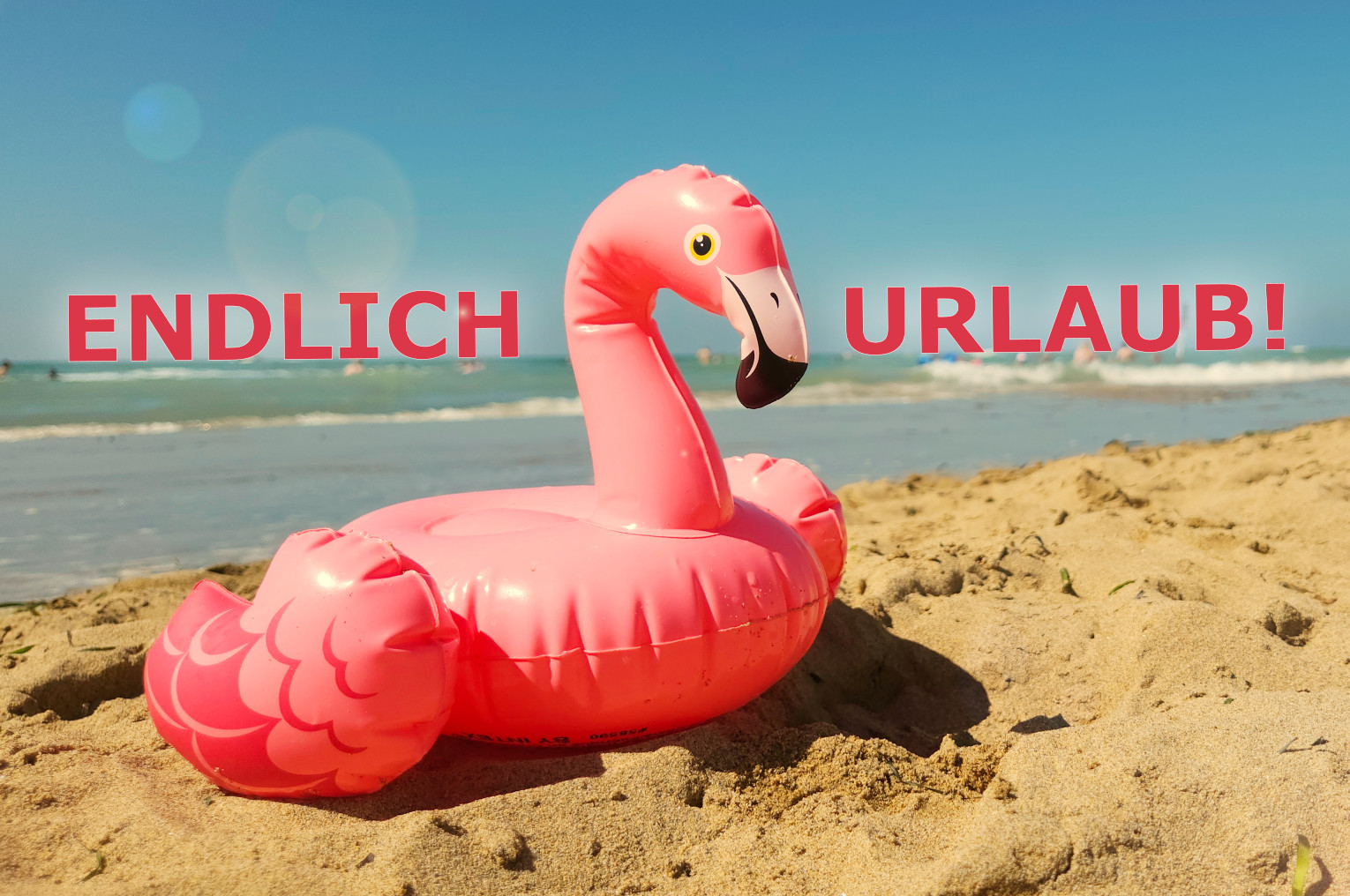 Endlich Urlaub Flamingo