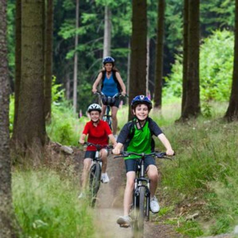 mutter mit zwei kindern auf mountainbikes