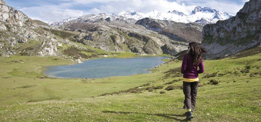 Nationalpark Picos de Europa