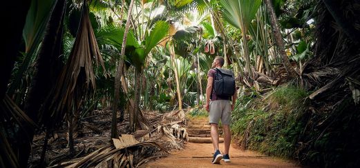 Nationalpark Vallee de Mai