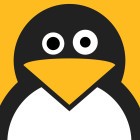 Sicherheitsbehörde warnt: Schwachstelle im Linux-Kernel wird aktiv ausgenutzt